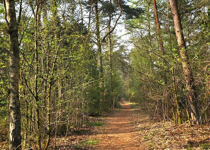 De Waterput Oisterwijk