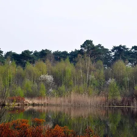 Mini-hôtel De Waterput