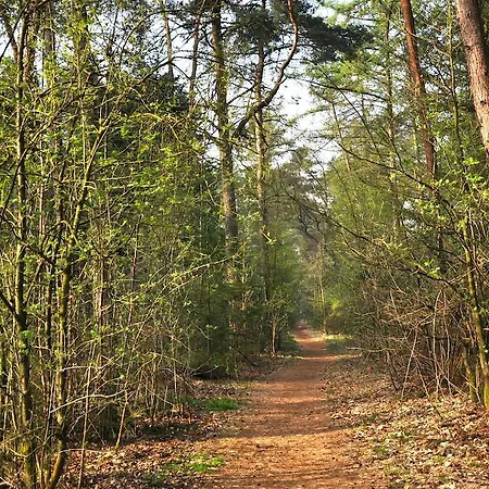 De Waterput Oisterwijk