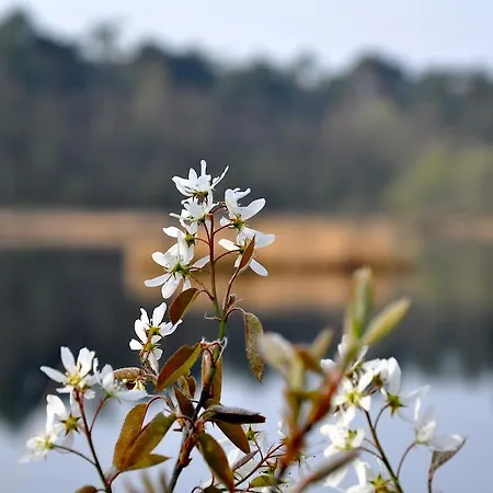 De Waterput Oisterwijk