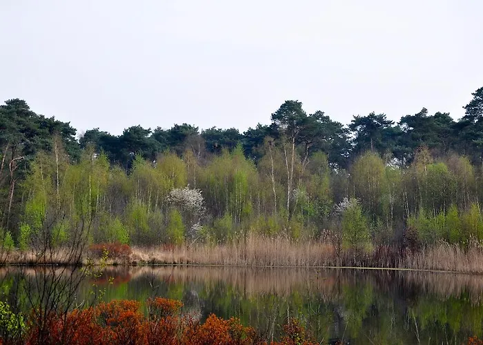 Han/Misafirhane De Waterput