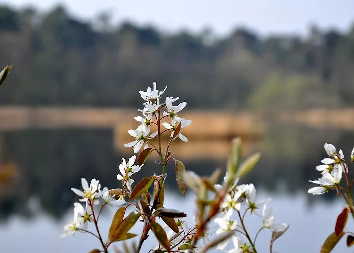 De Waterput Oisterwijk